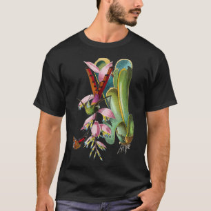 Vintage Hummingbird Bird Illustration Animal Lover T-Shirt