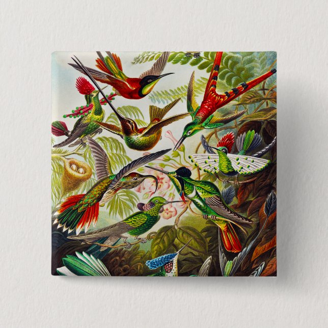 Vintage Hummingbirds von Ernst Haeckel Button (Vorderseite)
