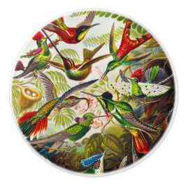 Vintage Hummingbirds von Ernst Haeckel Keramikknauf