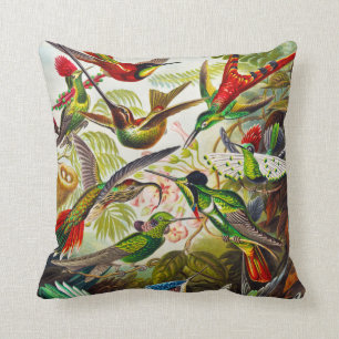 Vintage Hummingbirds von Ernst Haeckel Kissen