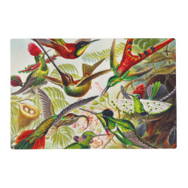 Vintage Hummingbirds von Ernst Haeckel Laminiertes Tischset