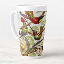 Vintage Hummingbirds von Ernst Haeckel