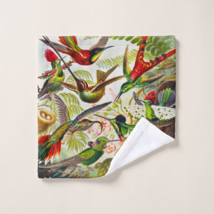 Vintage Hummingbirds von Ernst Haeckel Waschlappen