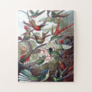 Vintage Hummingvögel Altes Buch Illustration Kunst Puzzle