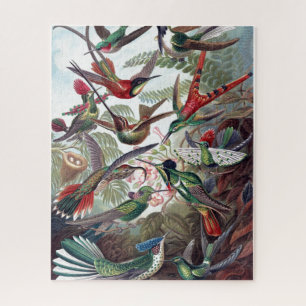 Vintage Hummingvögel Altes Buch Illustration Kunst Puzzle