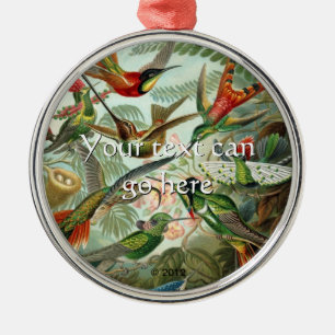 Vintage Hummingvögel Silbernes Ornament
