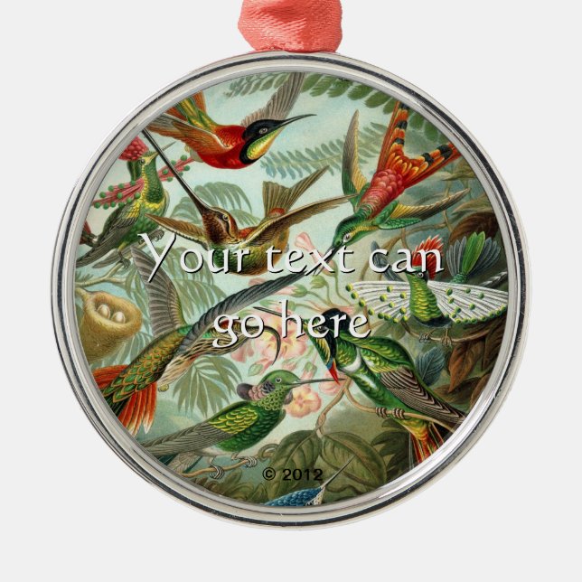 Vintage Hummingvögel Silbernes Ornament (Vorne)