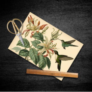 Vintage Hummingvögel und Honeysuckle Seidenpapier