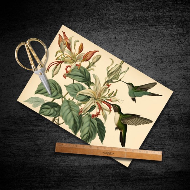 Vintage Hummingvögel und Honeysuckle Seidenpapier (Von Creator hochgeladen)