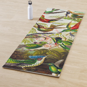Vintage Hummingvögel von Ernst Haeckel Yogamatte