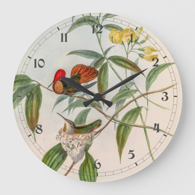 Vintage Hummingvögel von John Gould Große Wanduhr (Vorderseite)