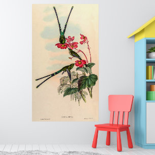 Vintage Hummingvögel von John Gould Poster
