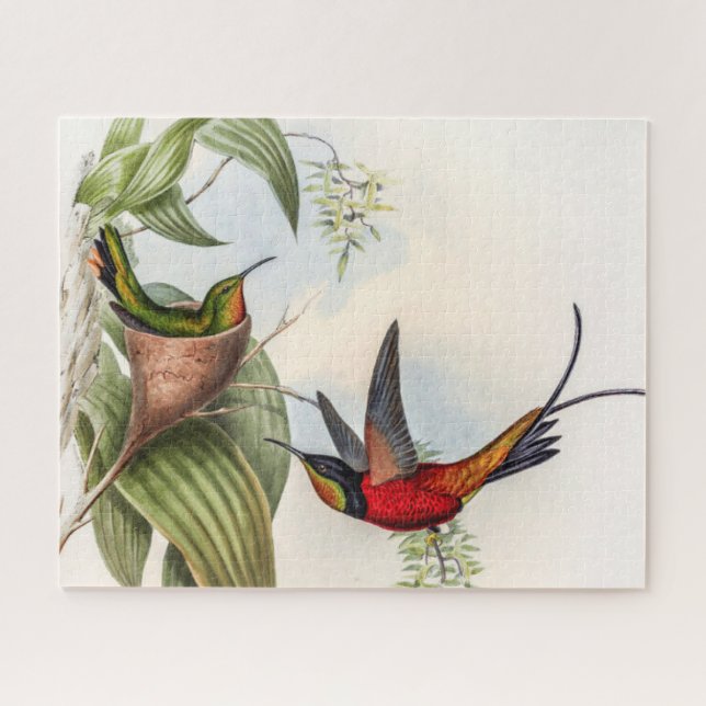 Vintage Hummingvögel von John Gould Puzzle (Horizontal)