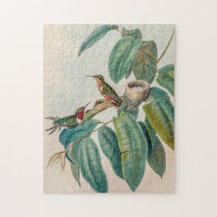 Vintage Hummingvögel von John Gould Puzzle