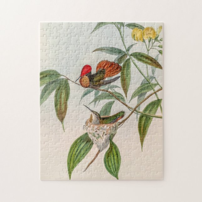 Vintage Hummingvögel von John Gould Puzzle (Vertikal)