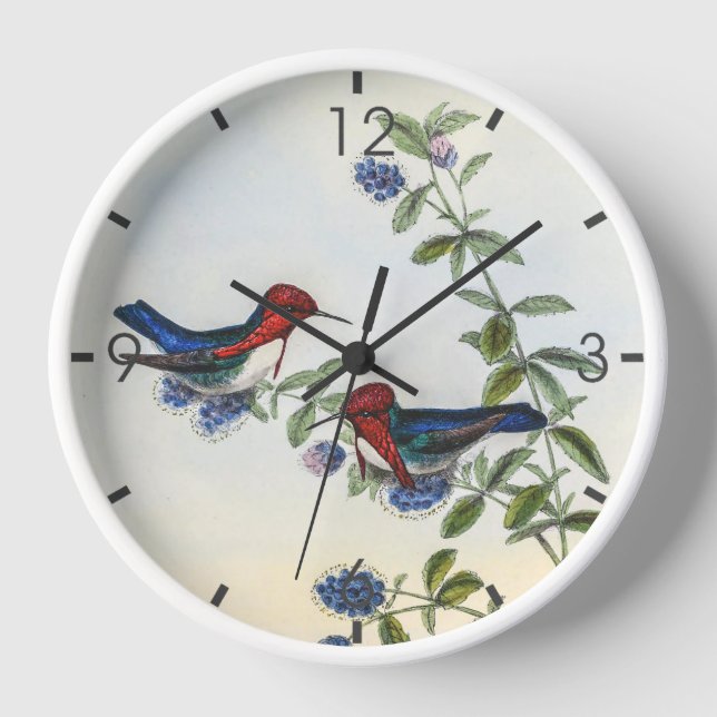 Vintage Hummingvögel von John Gould Uhr (Vorderseite)