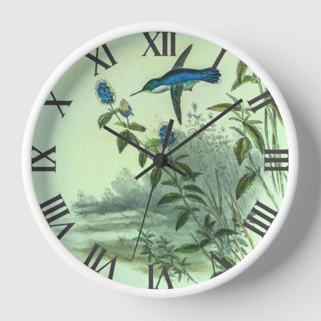 Vintage Hummingvögel von John Gould Uhr (Vorderseite)
