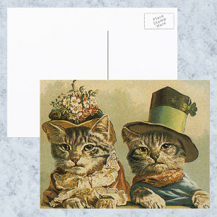 Vintage Humor, Victorian Bride Groom Cats in Hats Postkarte