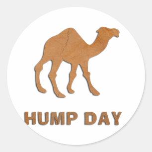 VINTAGE HUMP DAY KAMEL RUNDER AUFKLEBER