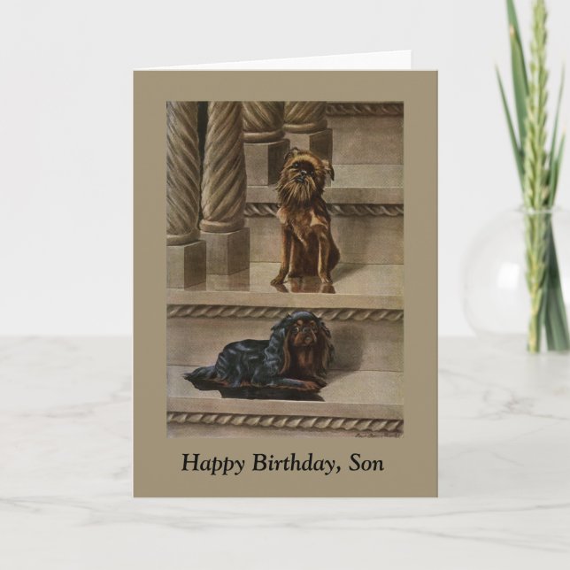 Vintage Hunde auf einer Treppe Karte (Vorderseite)