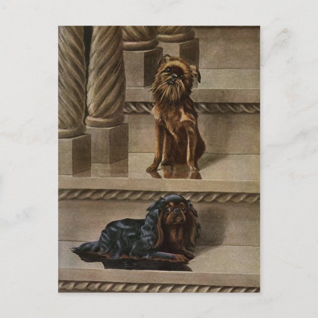 Vintage Hunde auf einer Treppe Postkarte (Vorderseite)