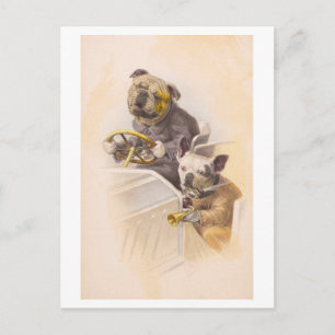 Vintage Hunde Autofahren Postkarte