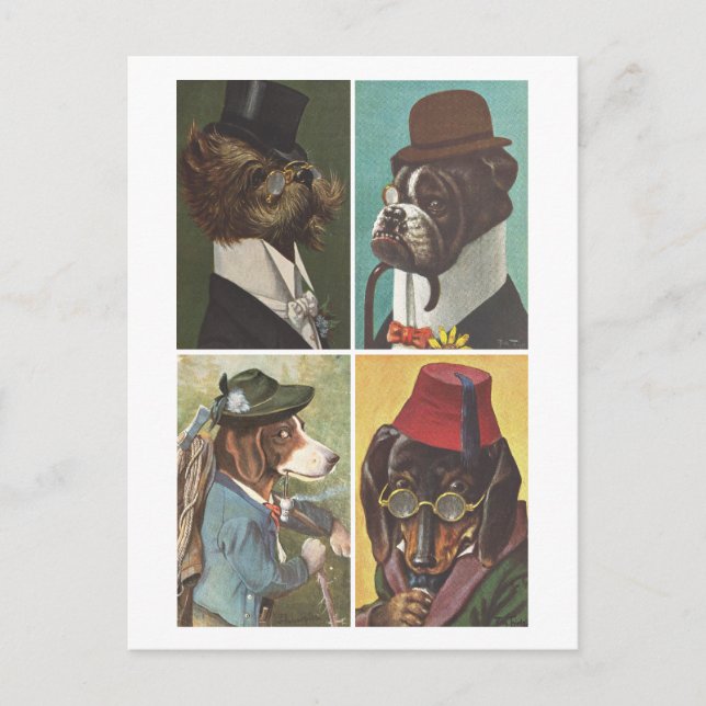 Vintage Hunde mit Kleidung Postkarte (Vorderseite)