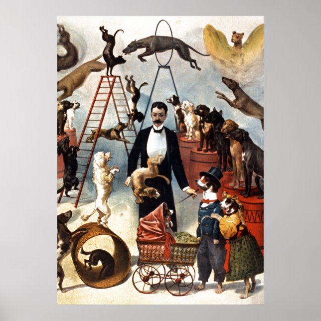 Vintage Hunde Ristorante La Lanchetta Poster (Vorne)