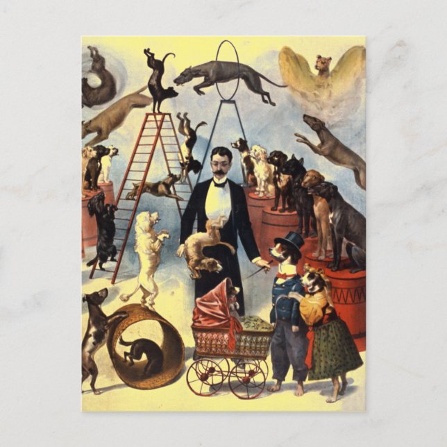 Vintage Hunde Ristorante La Lanchetta Postkarte (Vorderseite)