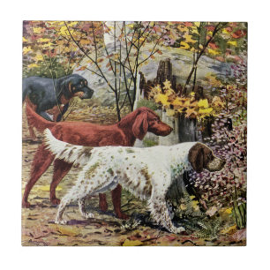 Vintage Hunde Setter Trio Fliese