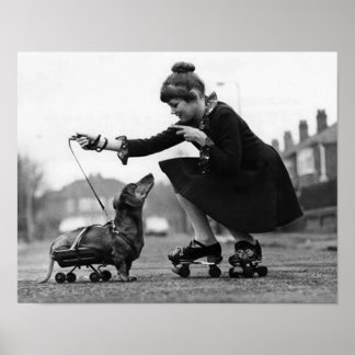 Vintage-Hundefotos Dachshund-Hunde Retro-Tierliebe Poster