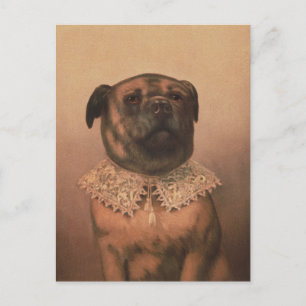 Vintage-Hundepostkarte Postkarte