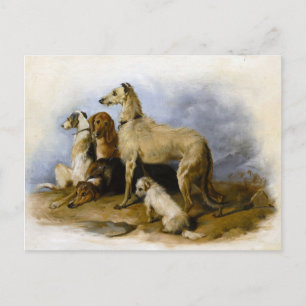 Vintage Hunderassen drucken Postkarte