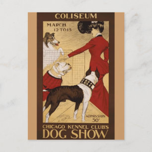 Vintage Hundeschau Postkarte