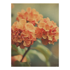 Vintage Hydrangea Bloom - Warm Tones Film Texture Poster