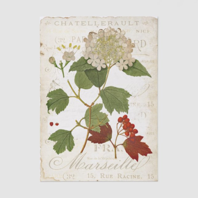 Vintage Hydrangea Botanical French Text Decoupage Seidenpapier (Vorderseite)