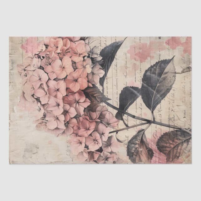 Vintage Hydrangea-Illustration Seidenpapier (Vorderseite)