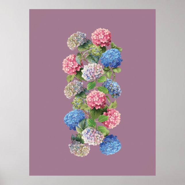 Vintage Hydrangea Poster (Vorne)