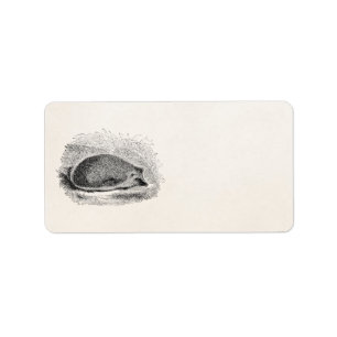 Vintage Igel 1800s Igels-Illustration Adressaufkleber