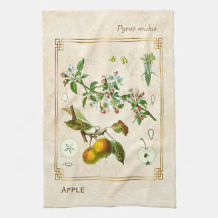 Vintage-Illustration Apfel Obst Botanisch Floral Geschirrtuch