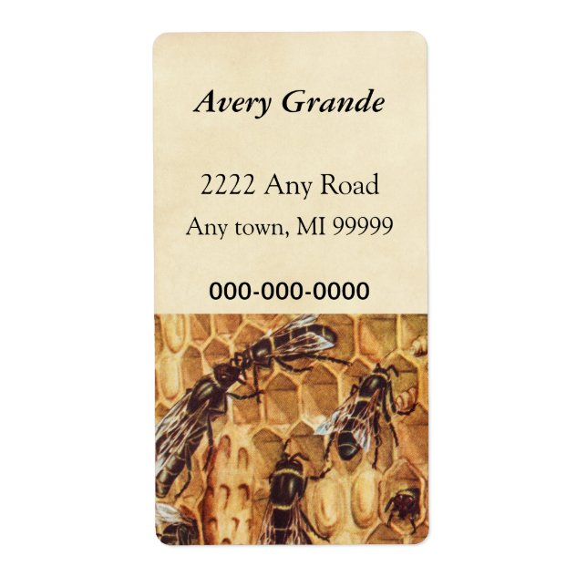 Vintage Illustration, Bienen in einem Bienenstock (Vorne)