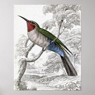 Vintage Illustration der Blaubäume Poster