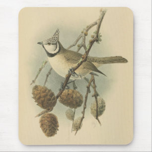 Vintage Illustration der europäischen Crested Tit Mousepad