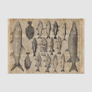 Vintage Illustration der Fische über altes Seidenpapier