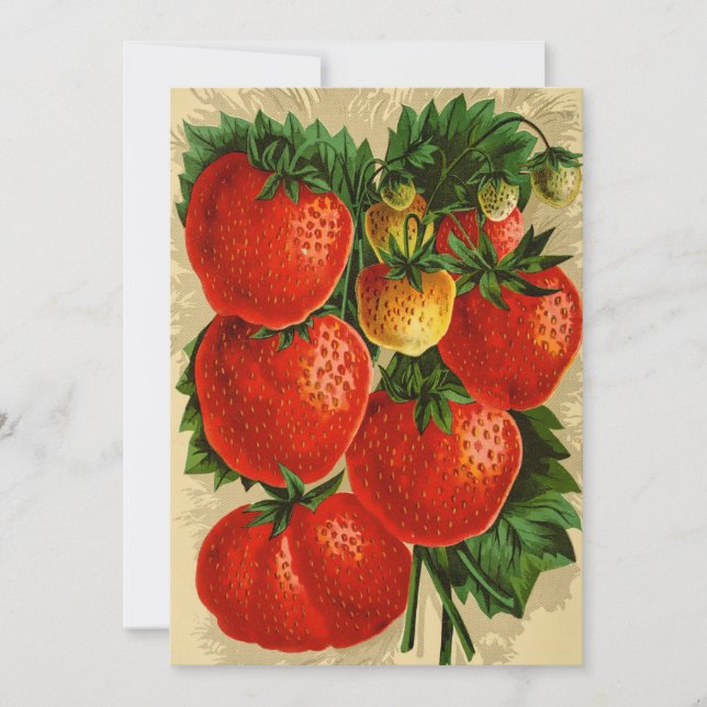 Vintage Illustration der Jessie Strawberry (Vorderseite)