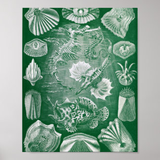Vintage Illustration der Knochenfische in der Meer Poster