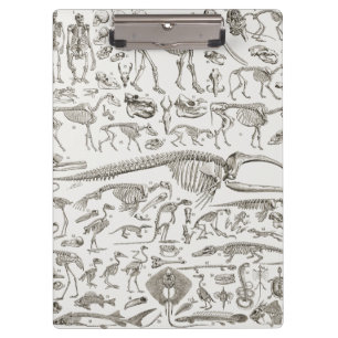 Vintage Illustration der menschlichen u. Klemmbrett