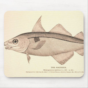 Vintage Illustration der Schellfische Mousepad