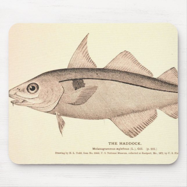 Vintage Illustration der Schellfische Mousepad (Vorne)