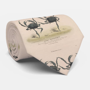 Vintage Illustration der Tanzkrabbe (1849) Krawatte